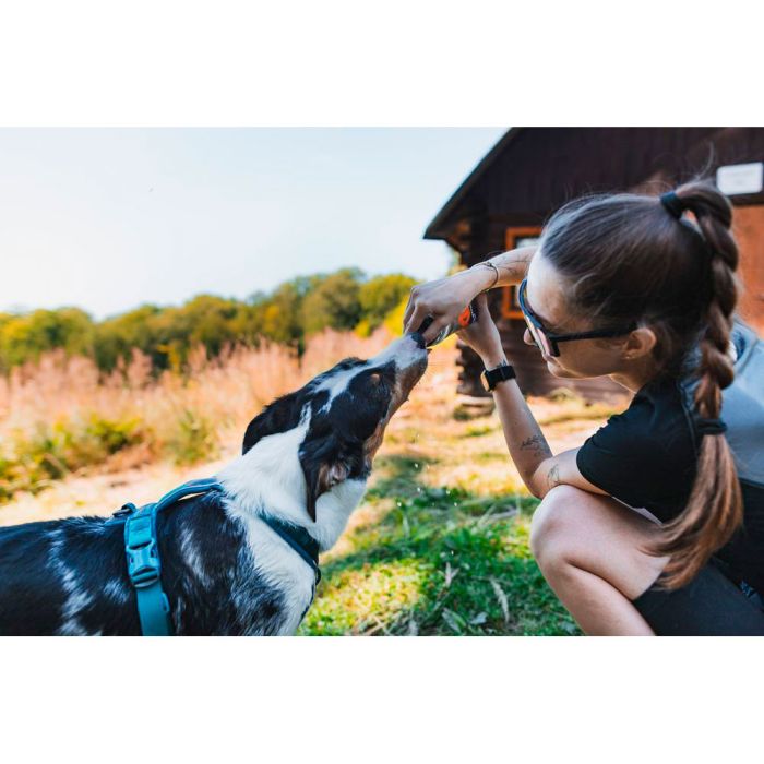 Non-stop dogwear Softflask 500 ml
