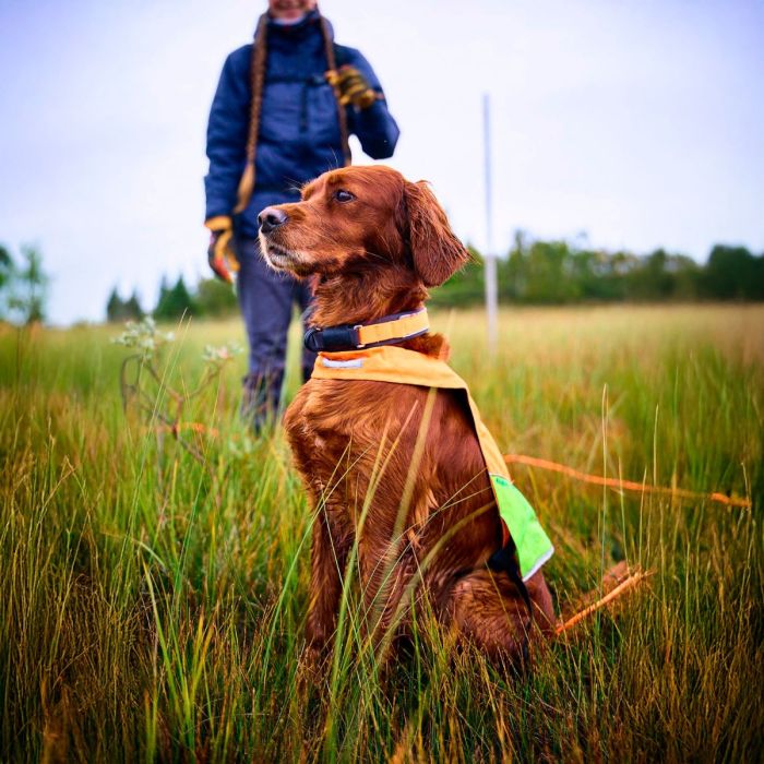 Non-stop dogwear Protector collar