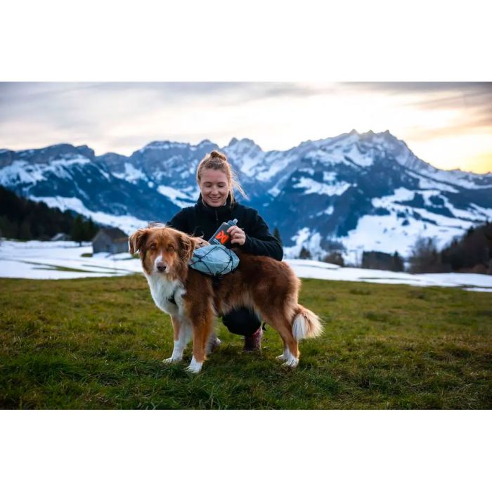 Non-stop dogwear Trail light dog backpack