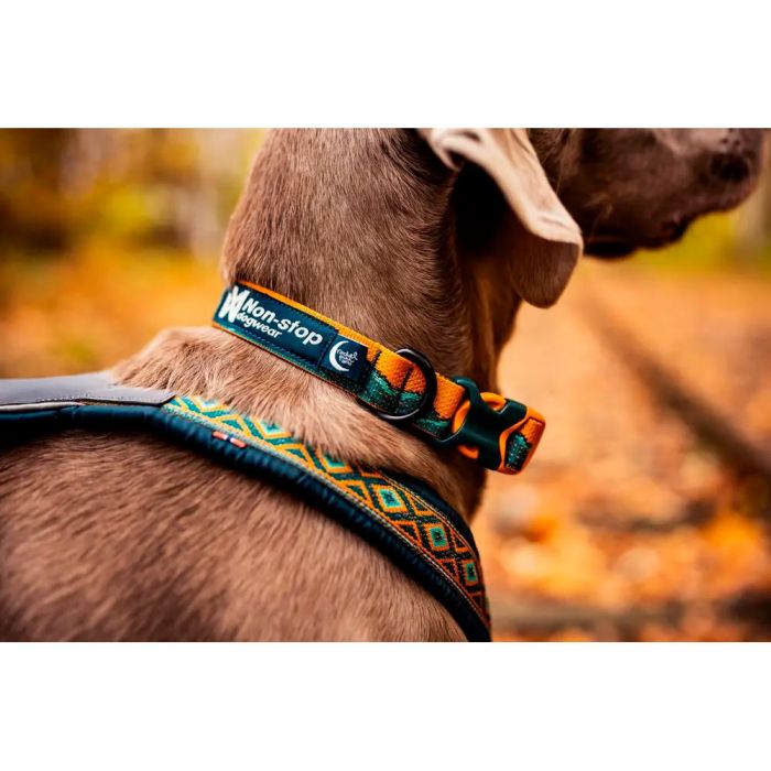 Non-stop dogwear Trail Quest Collar Rachel Pohl Edition turquesa roble