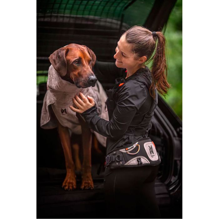 Non-stop dogwear Explore belt
