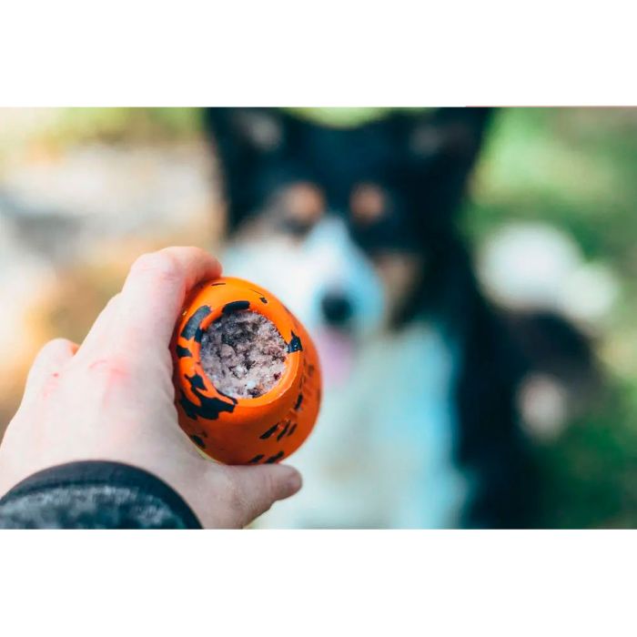 Non-stop dogwear Dog throw toy
