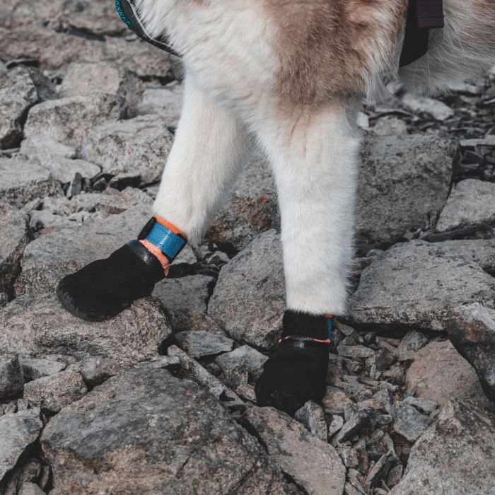 Non-stop dogwear Protector booties