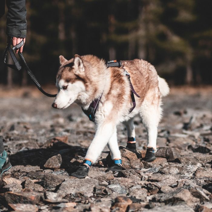 Non-stop dogwear Protector booties