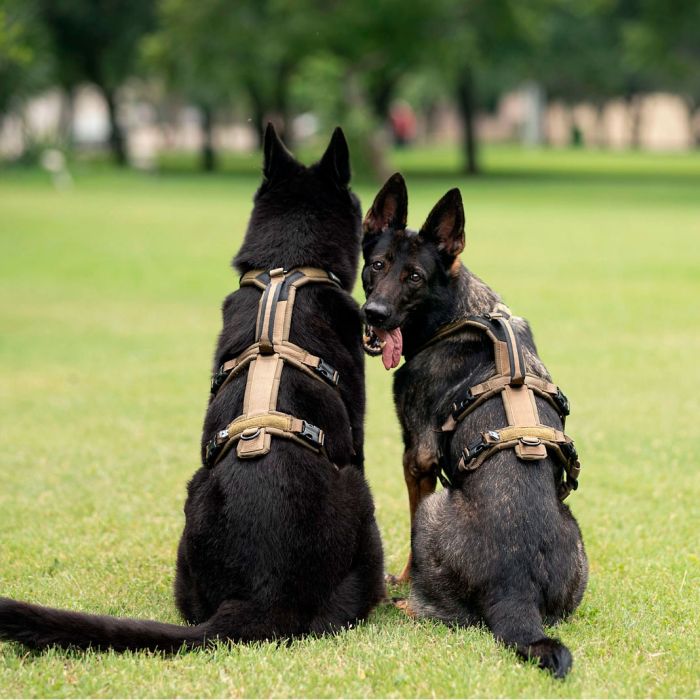 Non-stop dogwear Line harness long WD