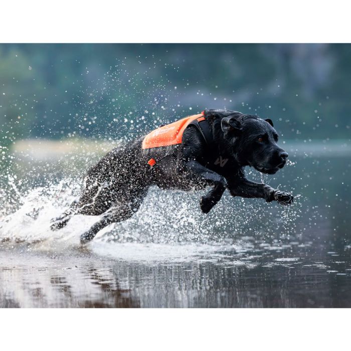 Non-stop dogwear Protector neoprene vest
