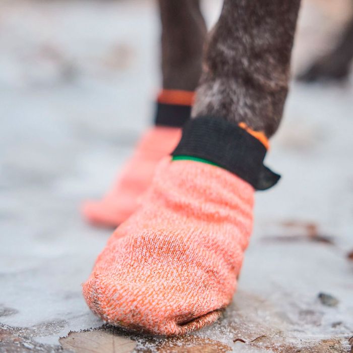 Non-stop dogwear Protector Light Socks