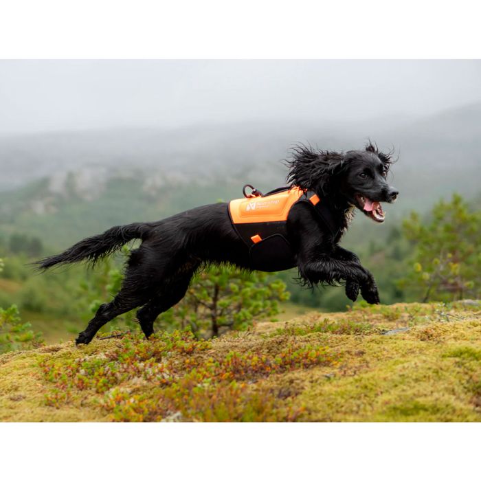 Non-stop dogwear Protector neoprene vest