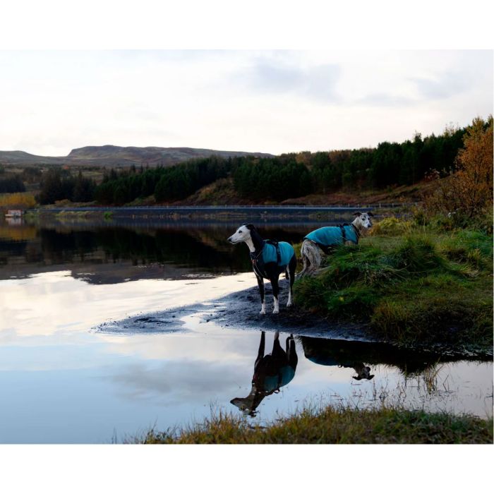 Non-stop dogwear Trail quest fleece pullover