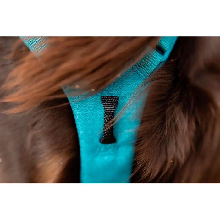 Non-stop Ramble harness long