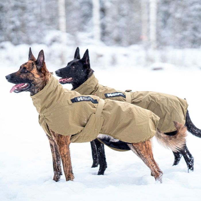 Non-stop dogwear Glacier Dog Jacket WD
