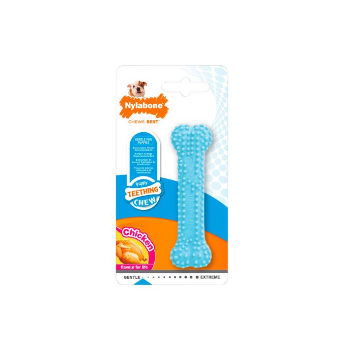 Nylabone Dental Chew Azul XS