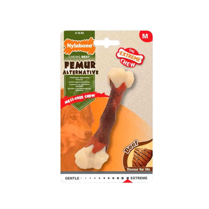 Nylabone Extreme Chew Femur Beef