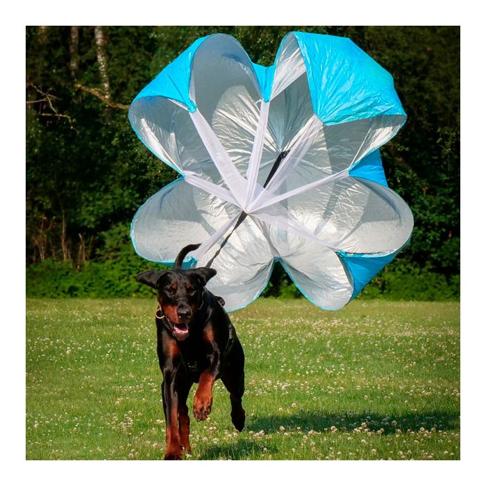Sporthund Paracaídas para frenado