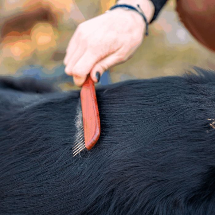 HS Sprenger Peine para perros con dientes metálicos de 30 mm