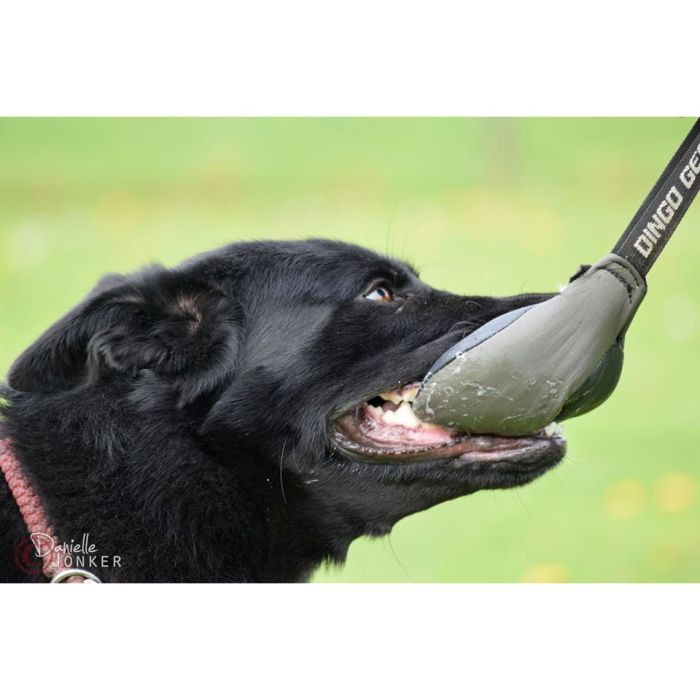Dingo Gear Pelota de cuero de 11 cm con asa