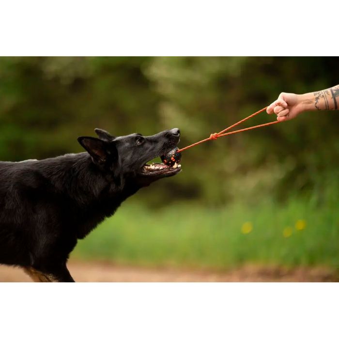 Non-stop dogwear Dog ball on rope