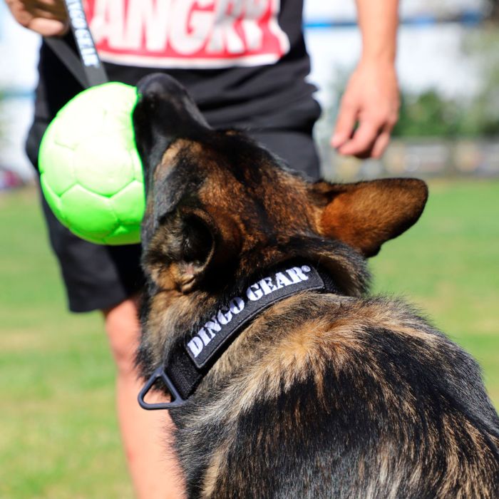 Dingo Gear Pelota inflable de ecopiel verde neon
