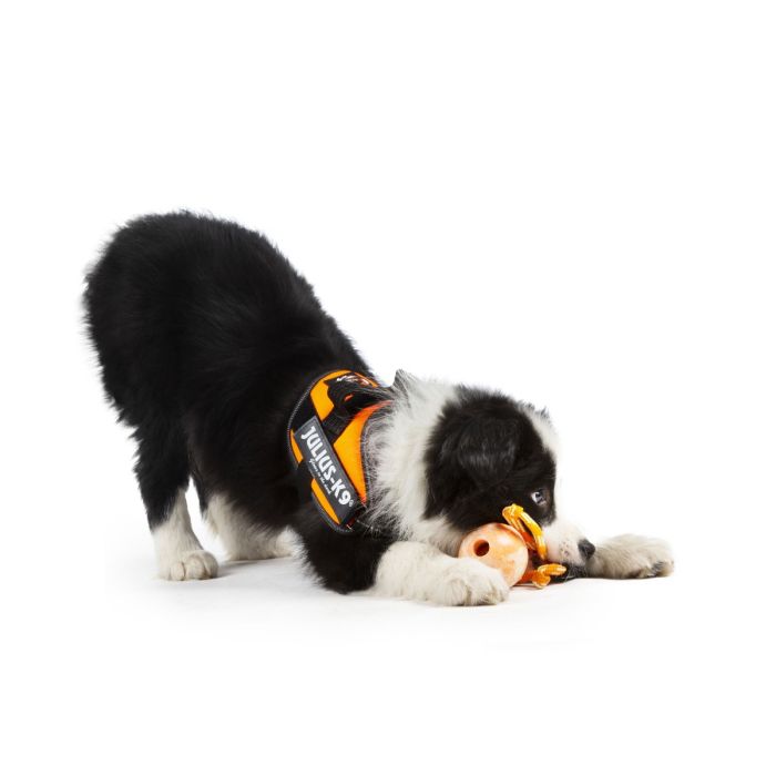 Julius-K9 Pelota IDC asa cerrable