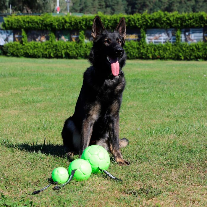Dingo Gear Pelota inflable de ecopiel verde neon