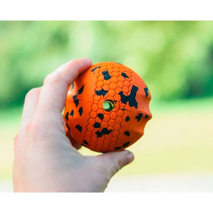 Non-stop dogwear Dog ball