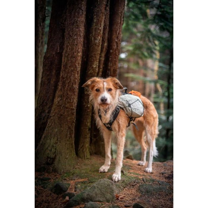 Non-stop dogwear Trail light dog backpack