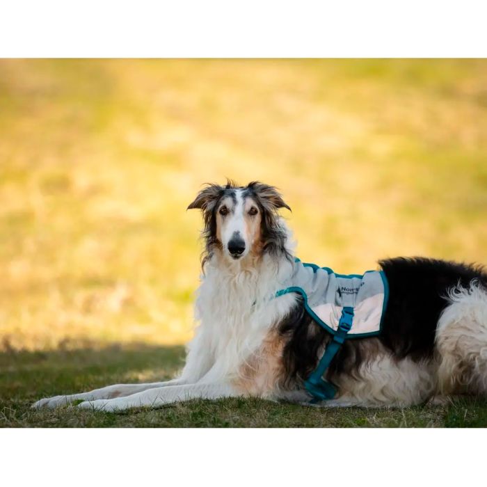 Non-stop dogwear Cooling vest