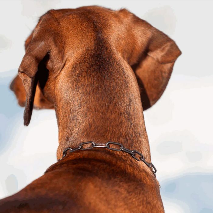 HS Sprenger Collar eslabón largo de acero inoxidable negro 2 mm