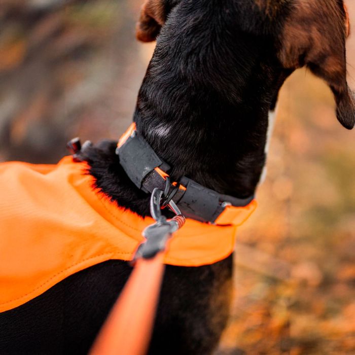 Non-stop dogwear Protector collar