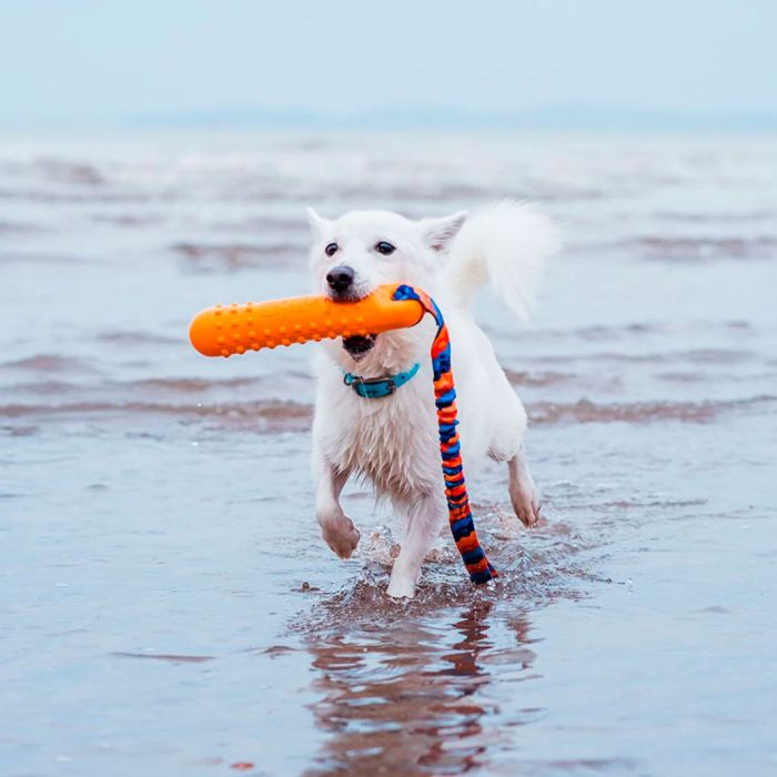 Tug-E-Nuff BOB: The 3-in-1 Dog Dummy