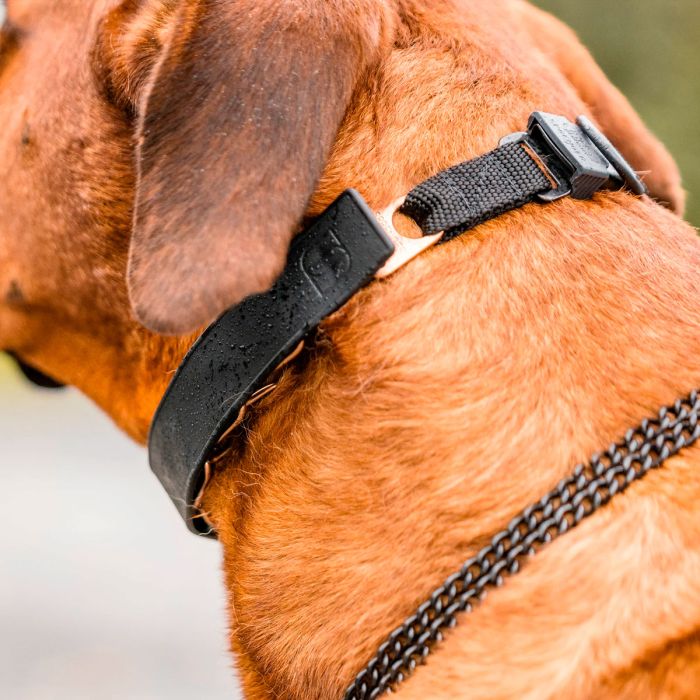 HS Sprenger FLEXCOVER Funda negra para collar Ultra-Plus