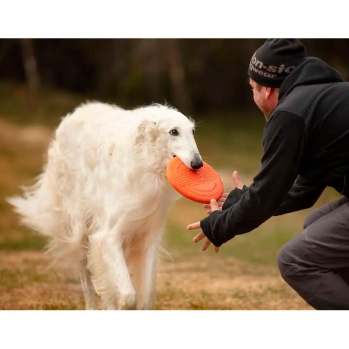 Non-stop dogwear Dog flying disc