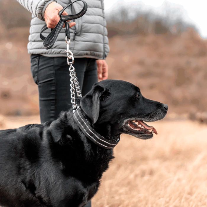 HS Sprenger Funda negra reflectante para collar Ultra-Plus