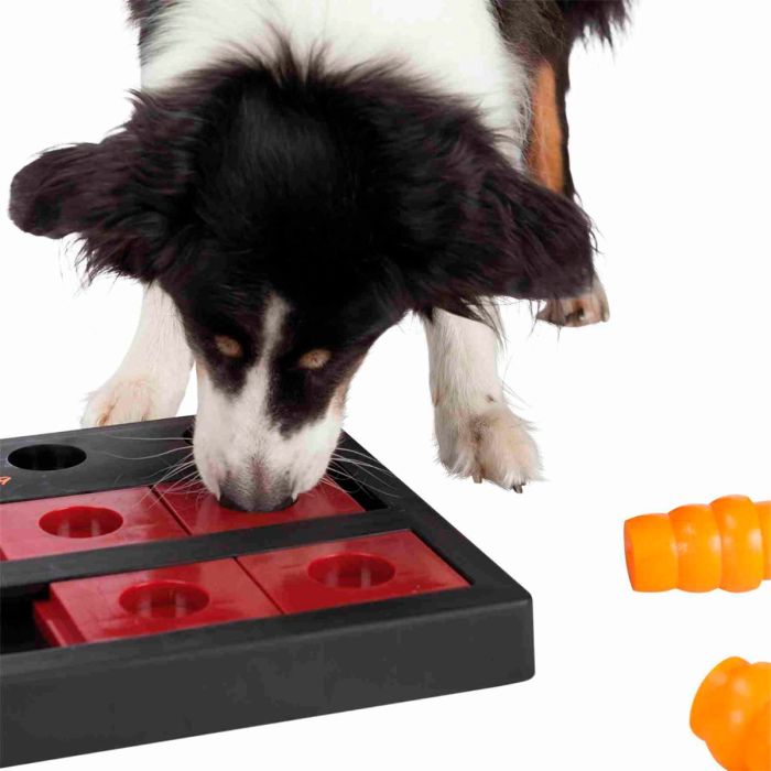 Trixie Dog Activity Chess - Nivel 3 - 40 cm x 10 cm x 27 cm
