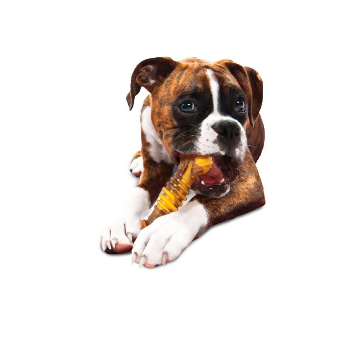 Nylabone Dura Chew Cheesesteak