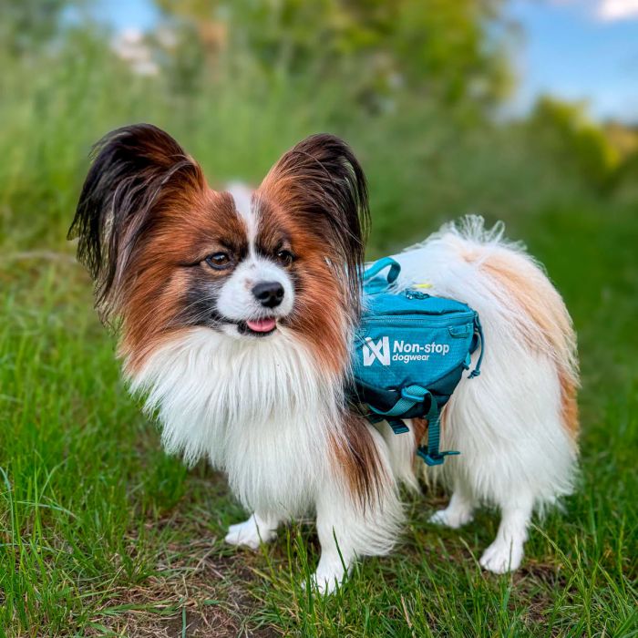 Non-stop dogwear Trail quest dog backpack