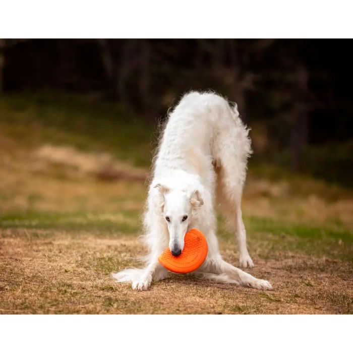 Non-stop dogwear Dog flying disc