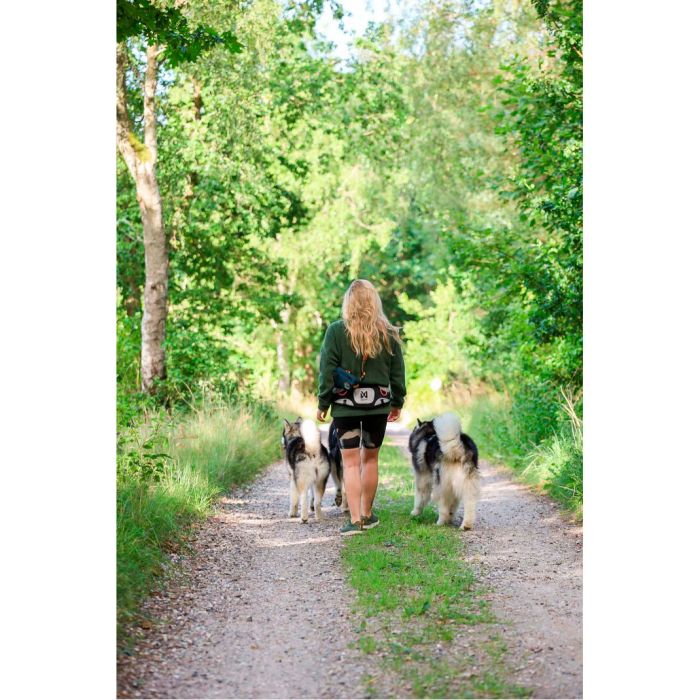 Non-stop dogwear Explore belt