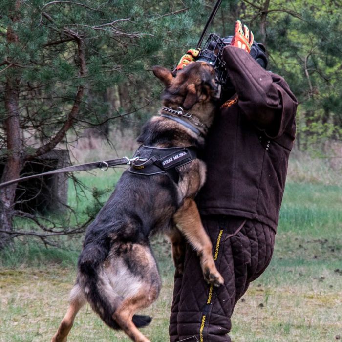Dingo Gear Máscara protectora ligera