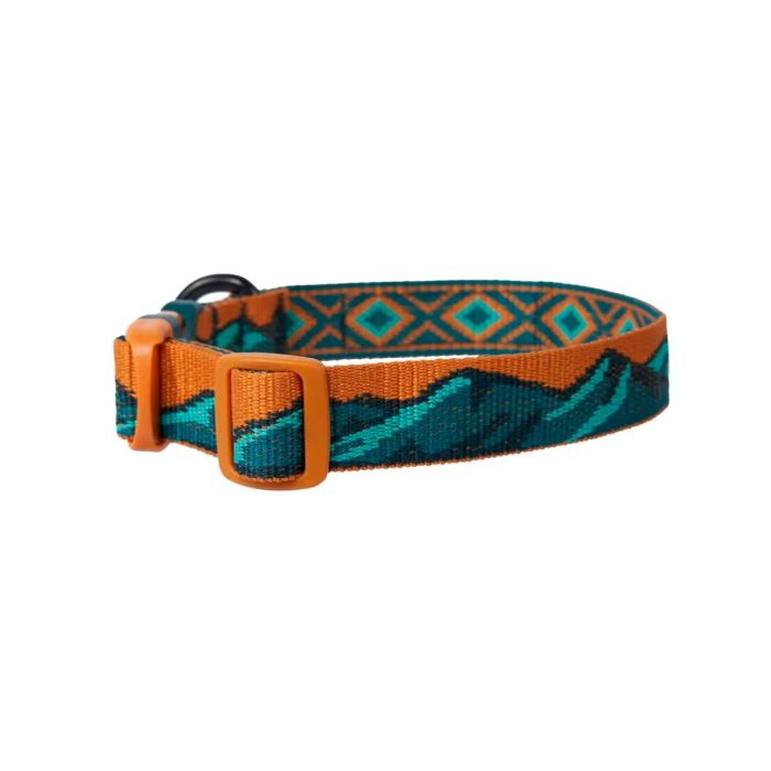 Non-stop dogwear Trail Quest Collar Rachel Pohl Edition turquesa roble