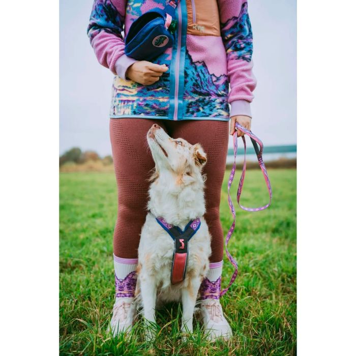 Non-stop dogwear Line Harness 5.0 Rachel Pohl edition morado rosa