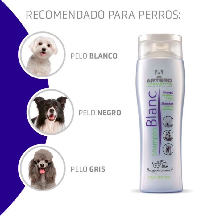 Artero Champú Blanc