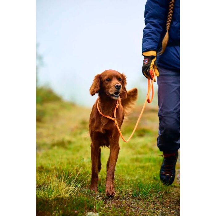 Non-stop dogwear Correa Retriever naranja 8 mm x 1,6 m