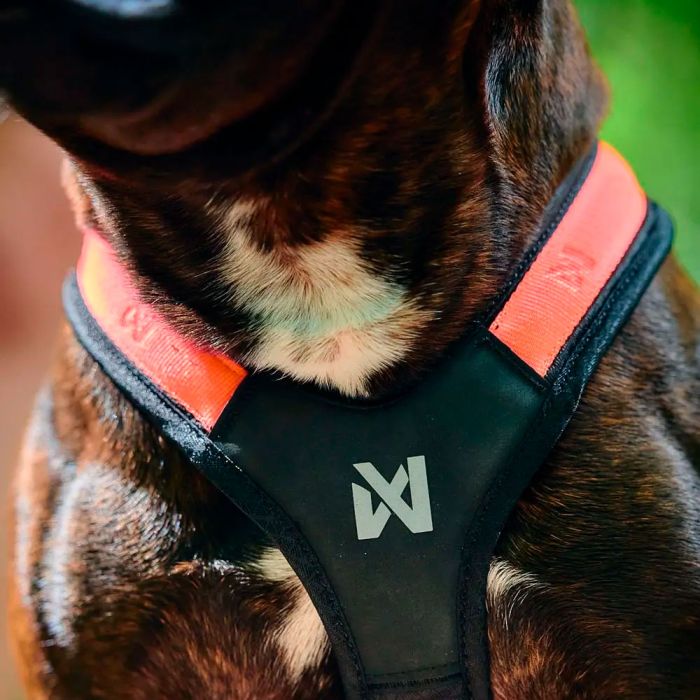 Non-stop dogwear Rush harness naranja