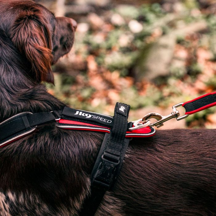 Julius-K9 Speed Harness