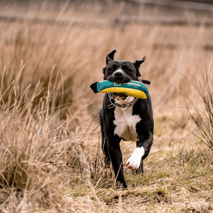 HS Sprenger Dog Toy Soft Bite Tug