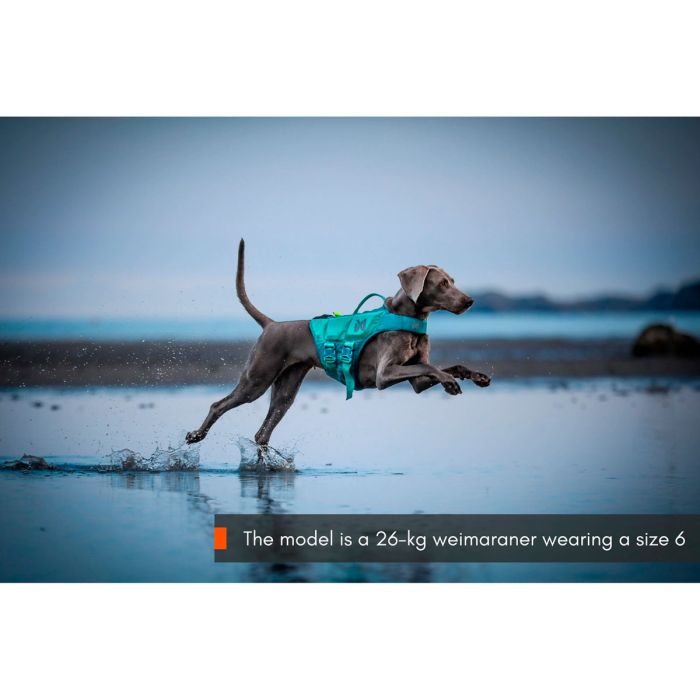 Non-stop dogwear Protector Life Jacket verde azulado