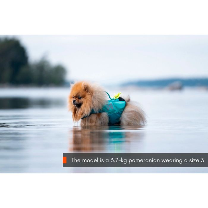 Non-stop dogwear Protector Life Jacket verde azulado