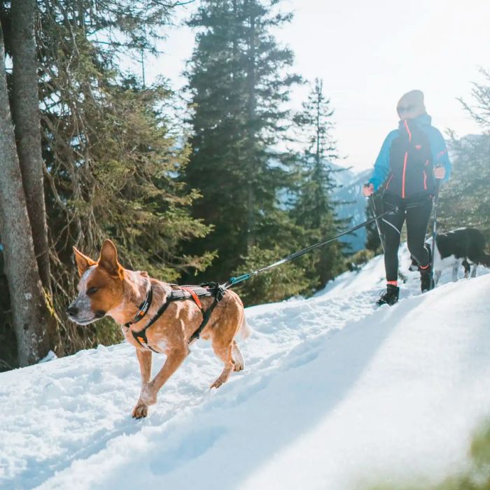 Non-stop dogwear Touring Bungee 23 mm