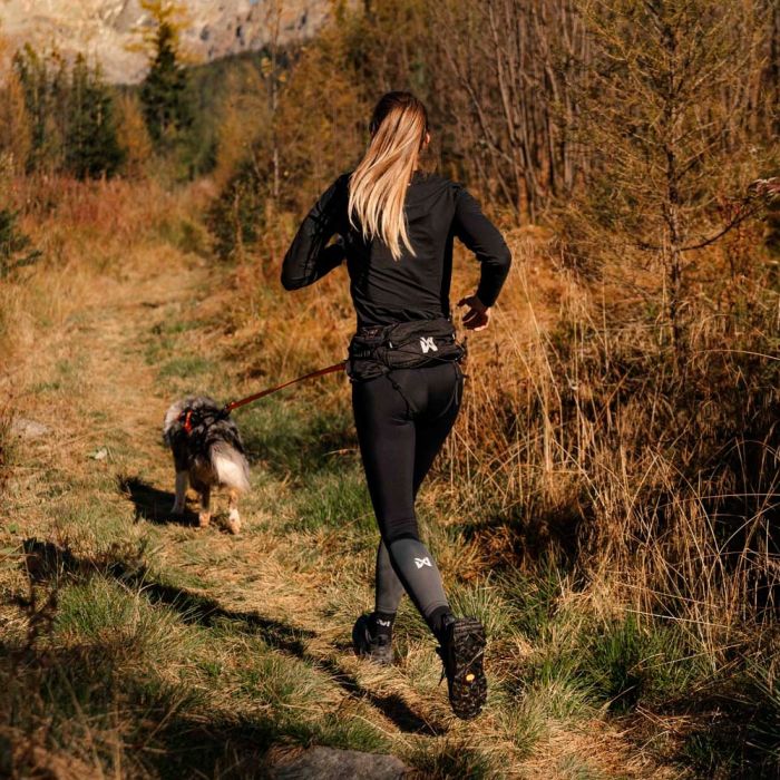 Non-stop dogwear Trail Light Belt